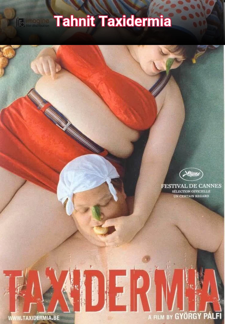 Tahnit Taxidermia