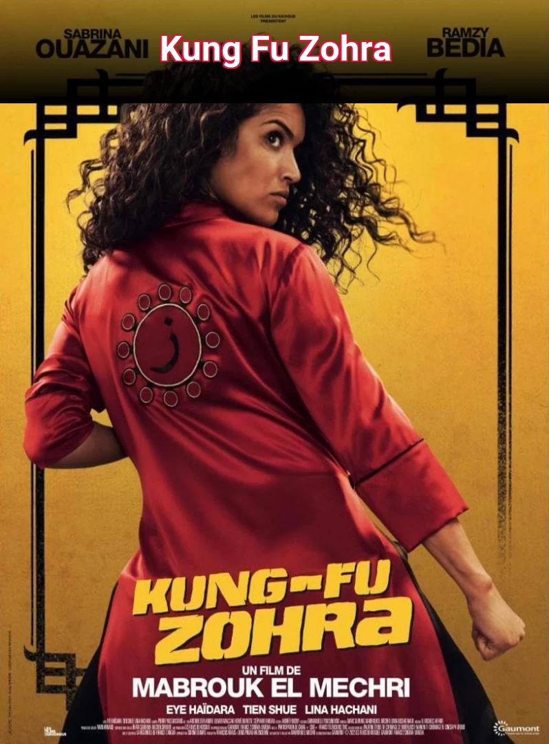 Kung Fu Zohra