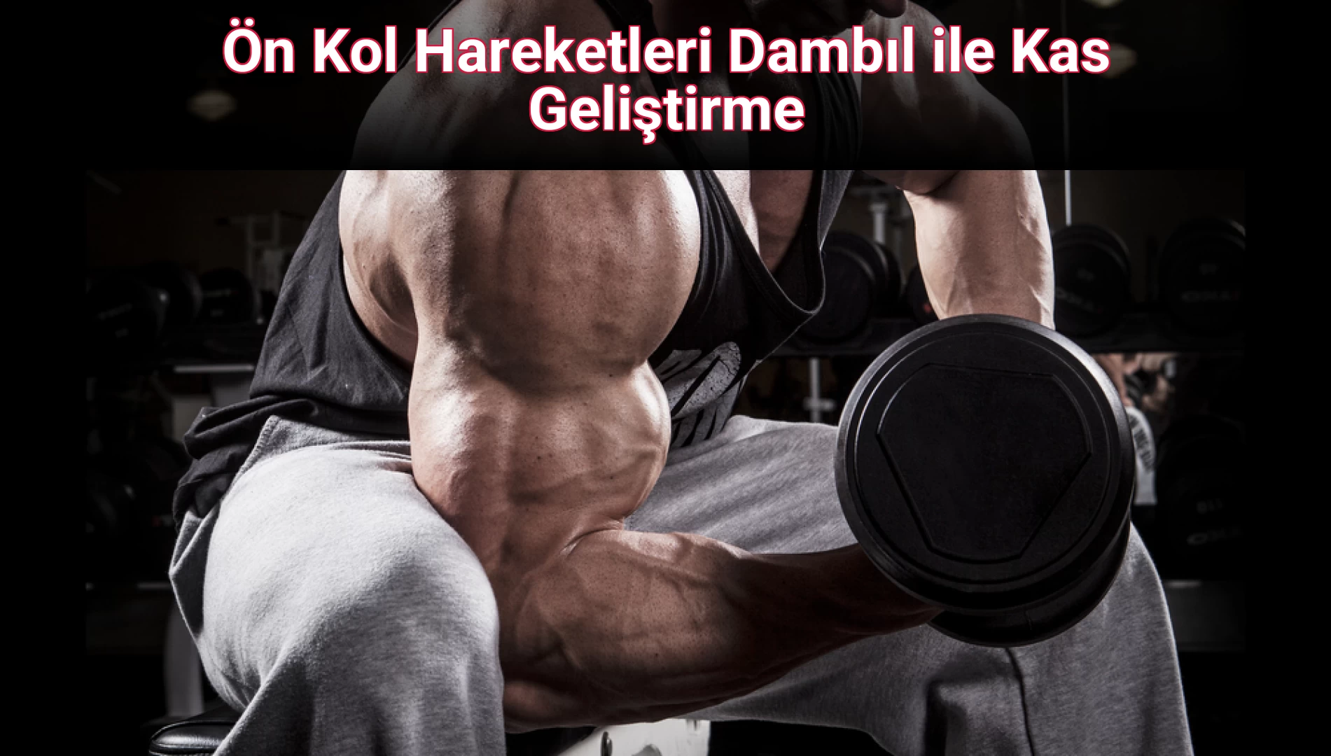 Ön Kol Hareketleri Dambıl ile Kas Geliştirme