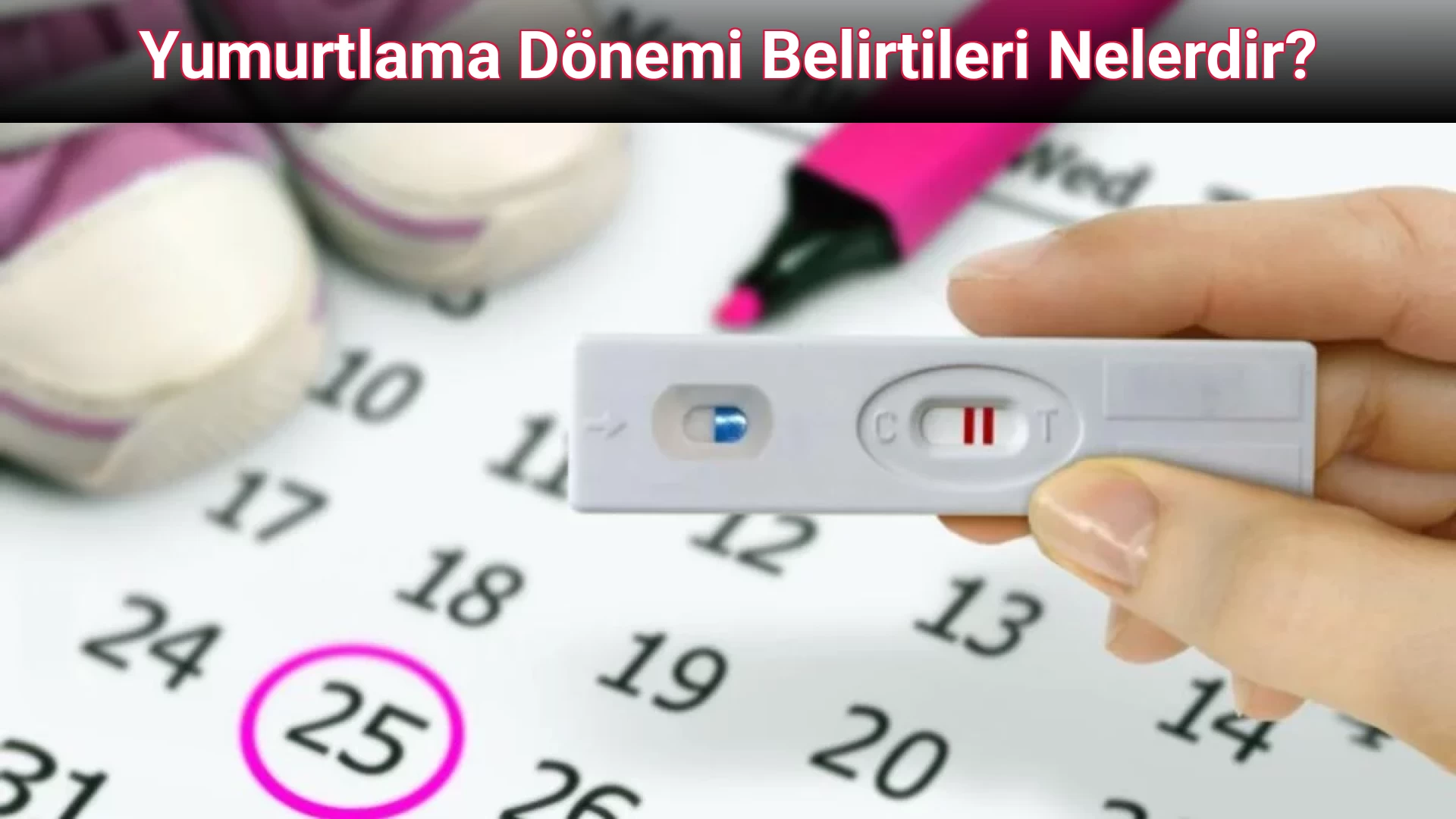 Yumurtlama Dönemi Belirtileri Nelerdir?