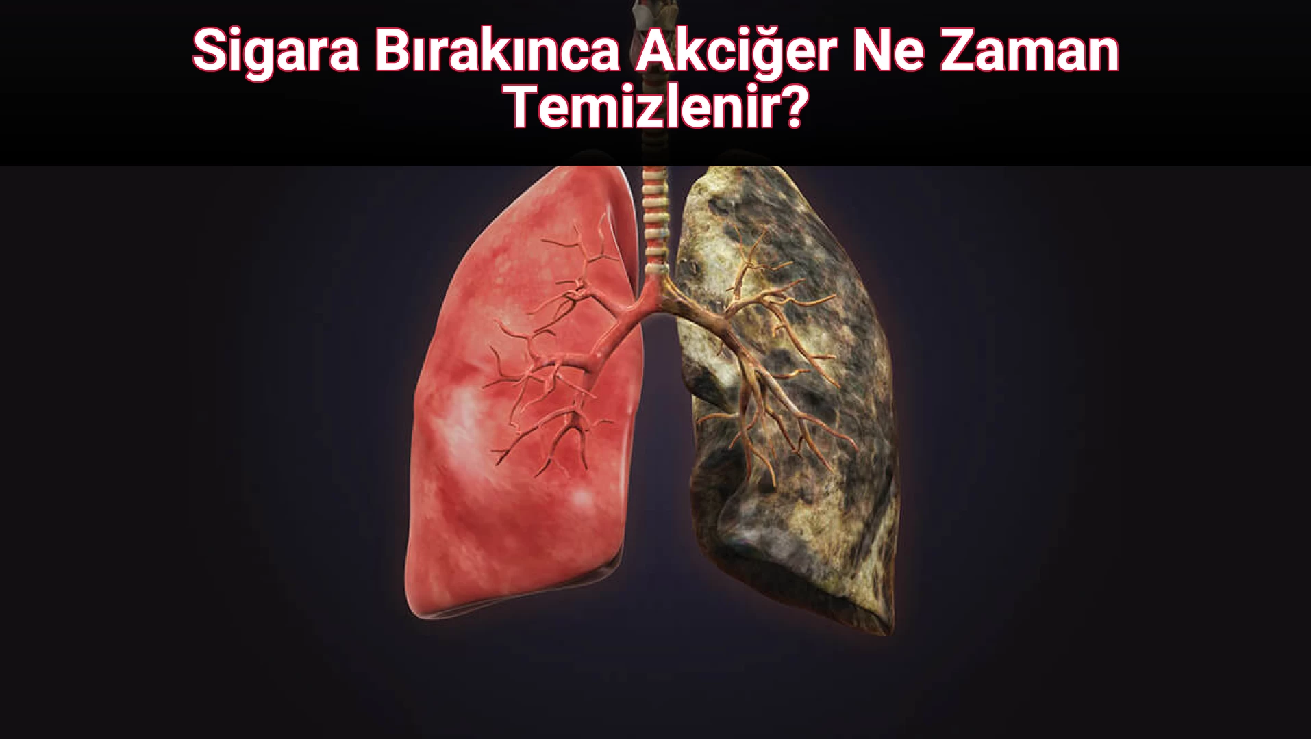 Sigara Bırakınca Akciğer Ne Zaman Temizlenir?