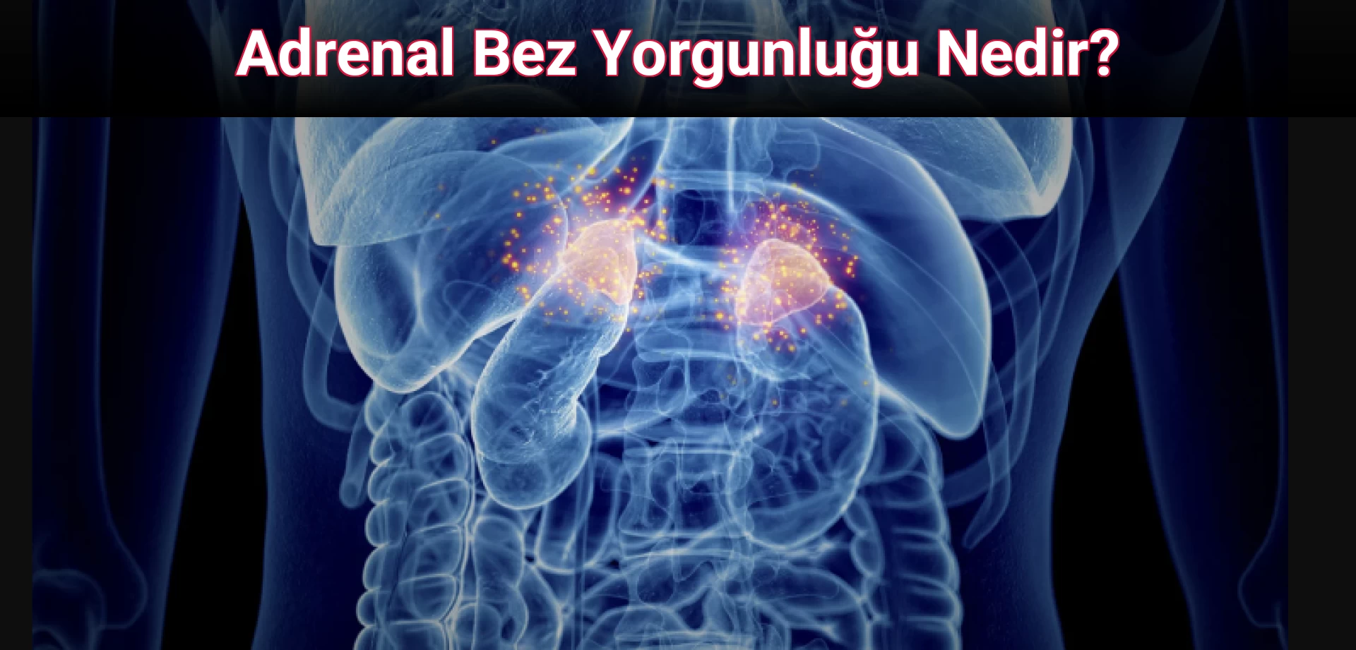 Adrenal Bez Yorgunluğu Nedir?