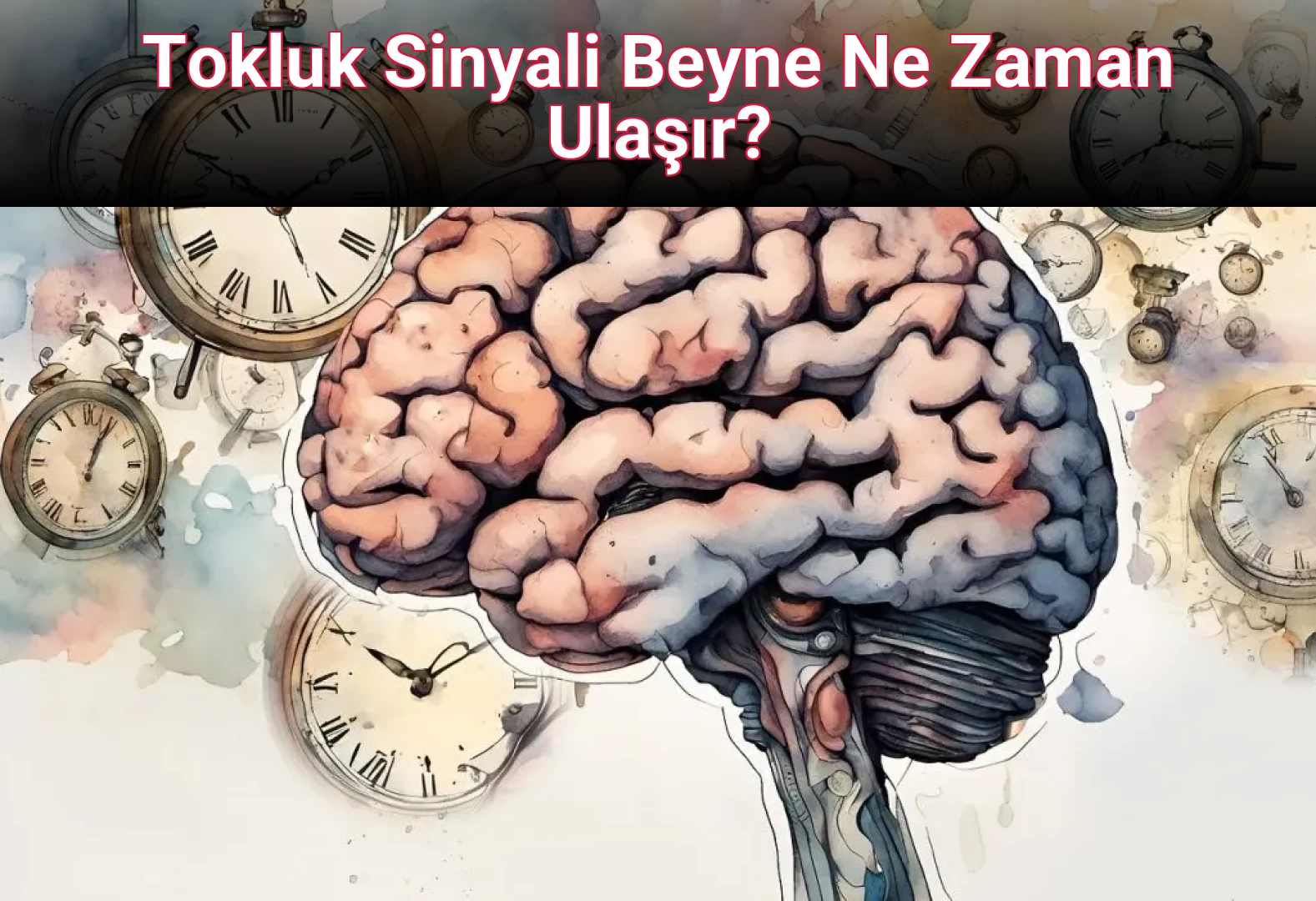 Tokluk Sinyali Beyne Ne Zaman Ulaşır?